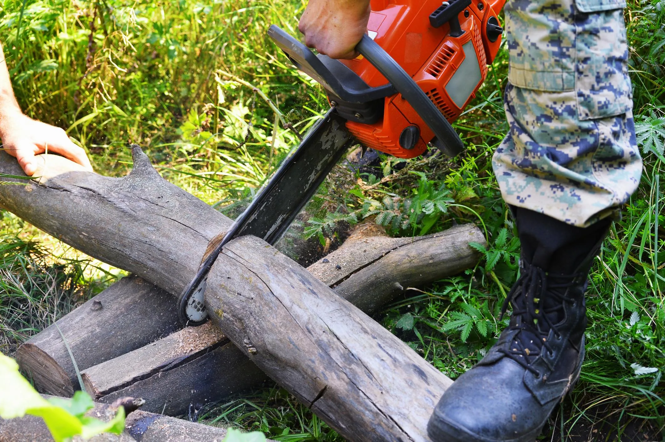 WNY Tree Removal
