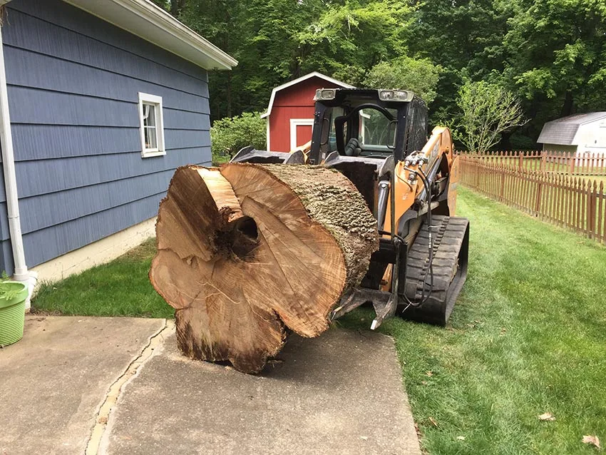 stump removal western new york